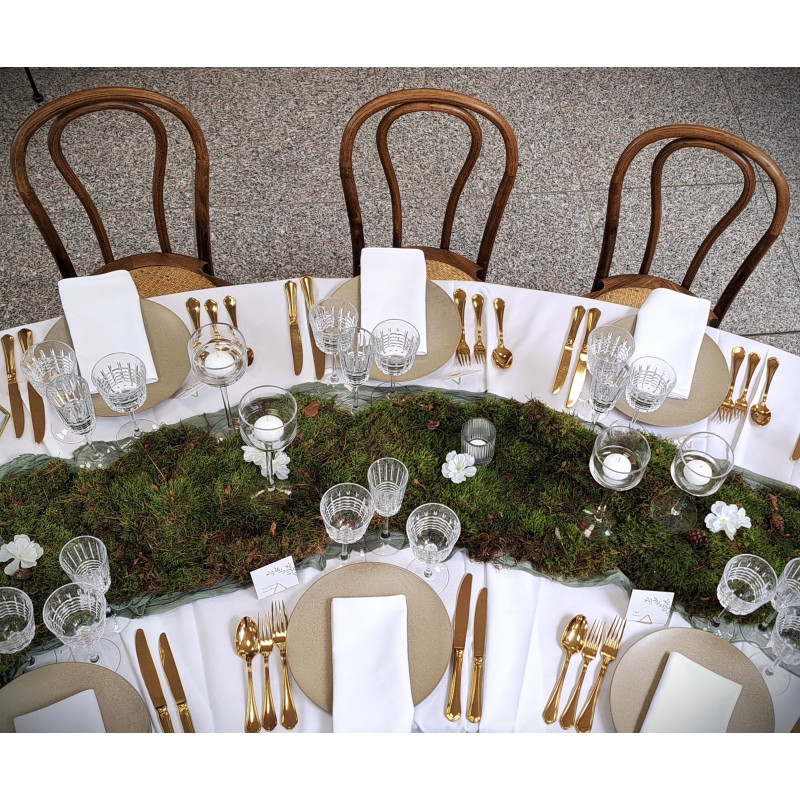Assiette Cirro