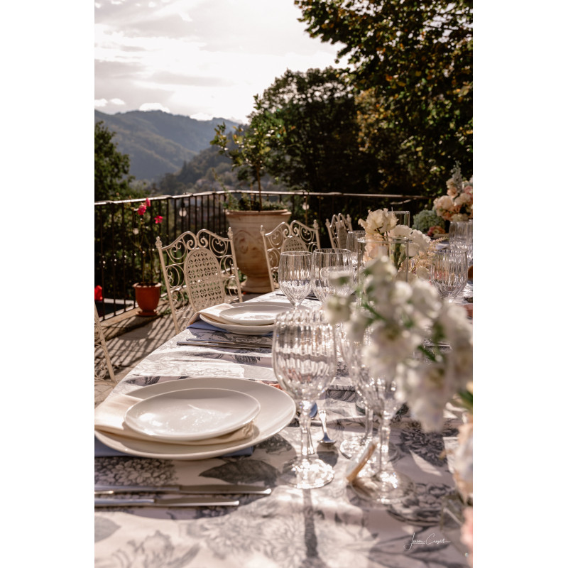 Assiette Modulo