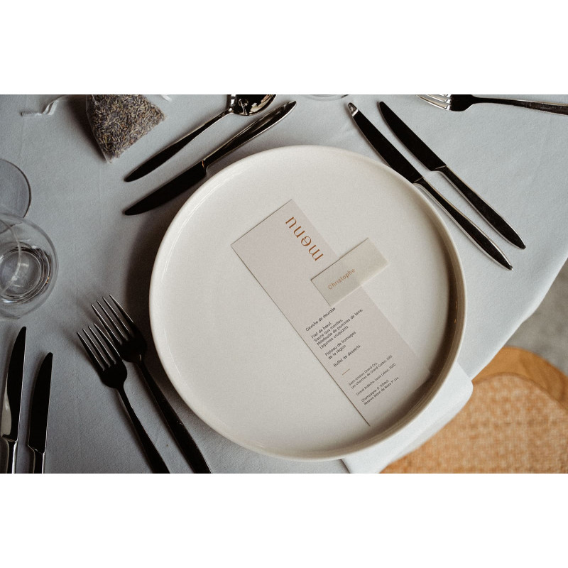 Assiette Artic