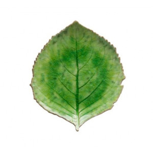 Location d'assiette feuille