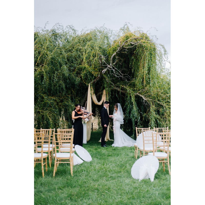 Chaise Chiavari