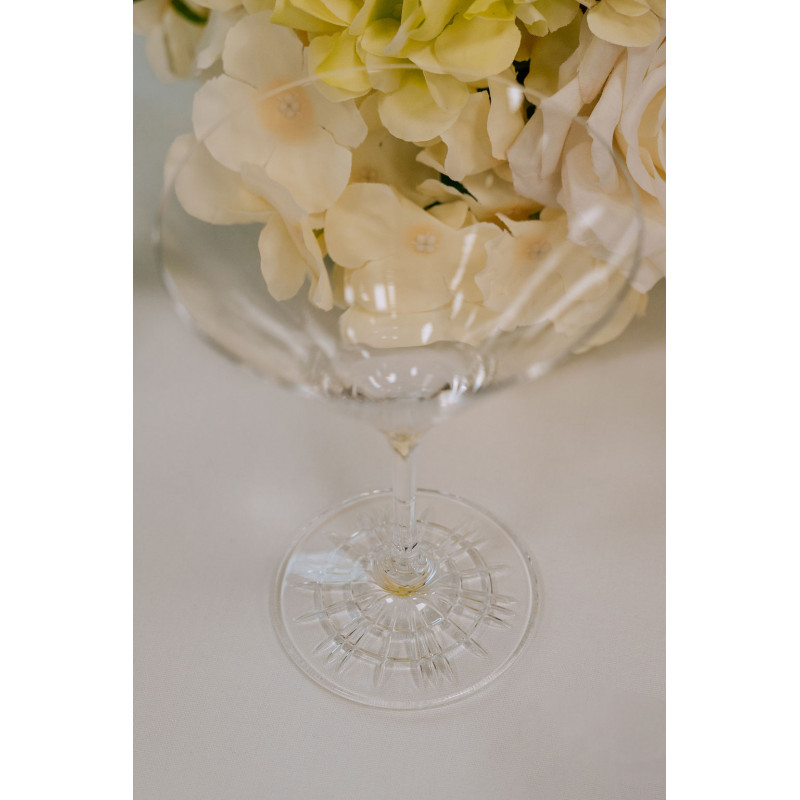 Verre martini perfect 16.5cl