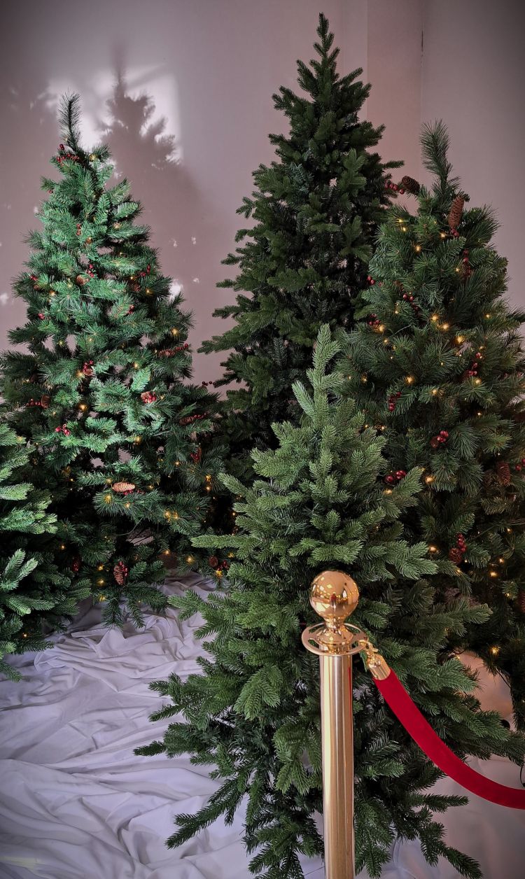 Location pour les marché de Noël des communes