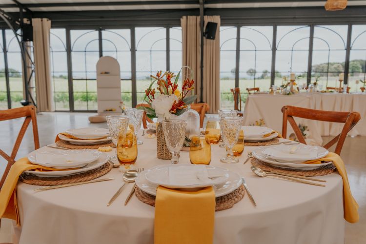 location verres de couleur